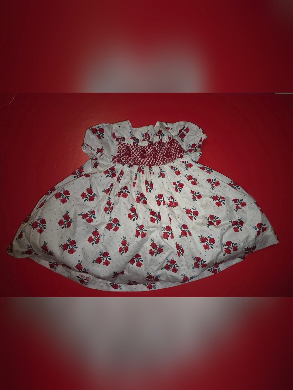 Janie and Jack White Dress with Red Floral Print